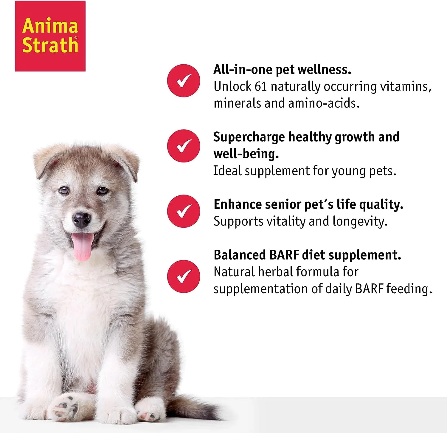 ANIMA STRATH SUPPLEMENT FOR ANIMALS 100ML - ASSFA100ML