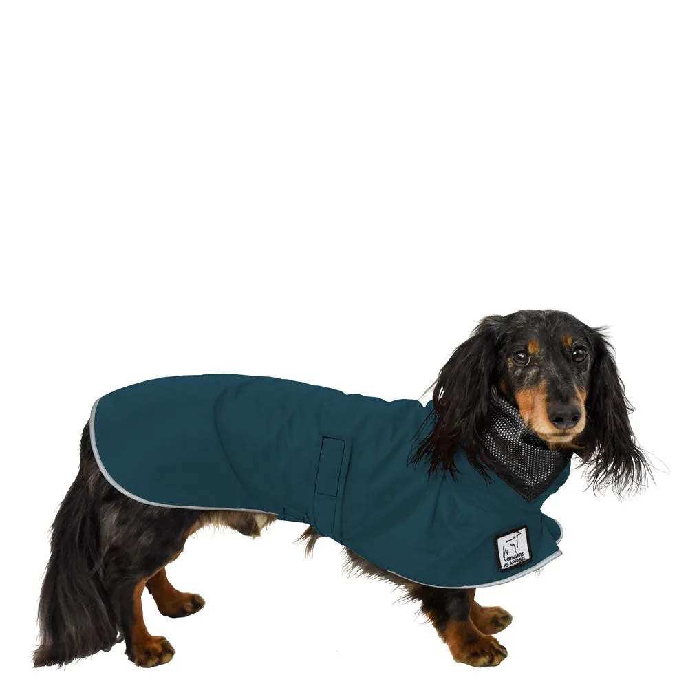 ReCoat ♻️ Dachshund Raincoat with Harness Opening