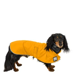 ReCoat ♻️ Dachshund Raincoat with Harness Opening