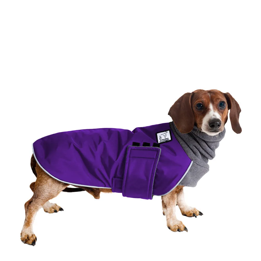 ReCoat ♻️ Dachshund Winter Coat