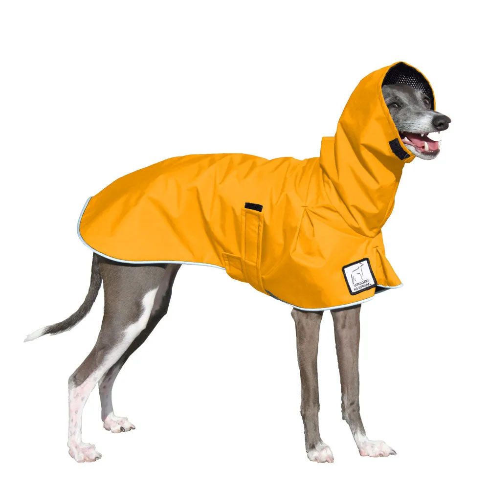 ReCoat ♻️ Italian Greyhound Raincoat