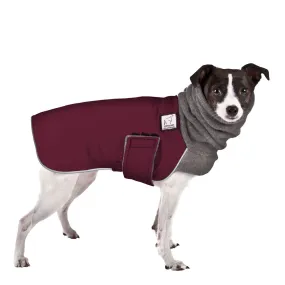 ReCoat ♻️ Rat Terrier Winter Coat