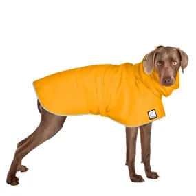 ReCoat ♻️ Weimaraner Raincoat with Harness Opening