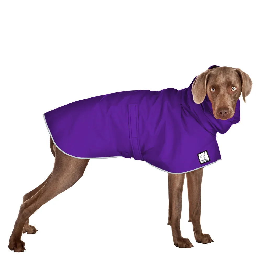 ReCoat ♻️ Weimaraner Raincoat