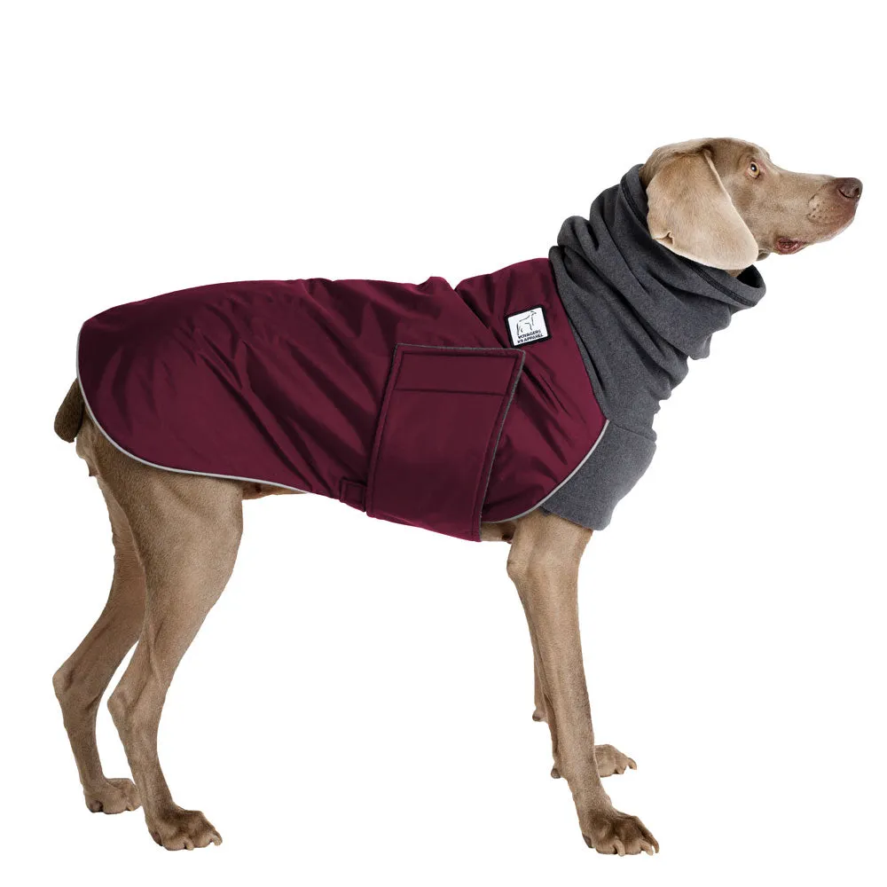 ReCoat ♻️ Weimaraner Winter Coat