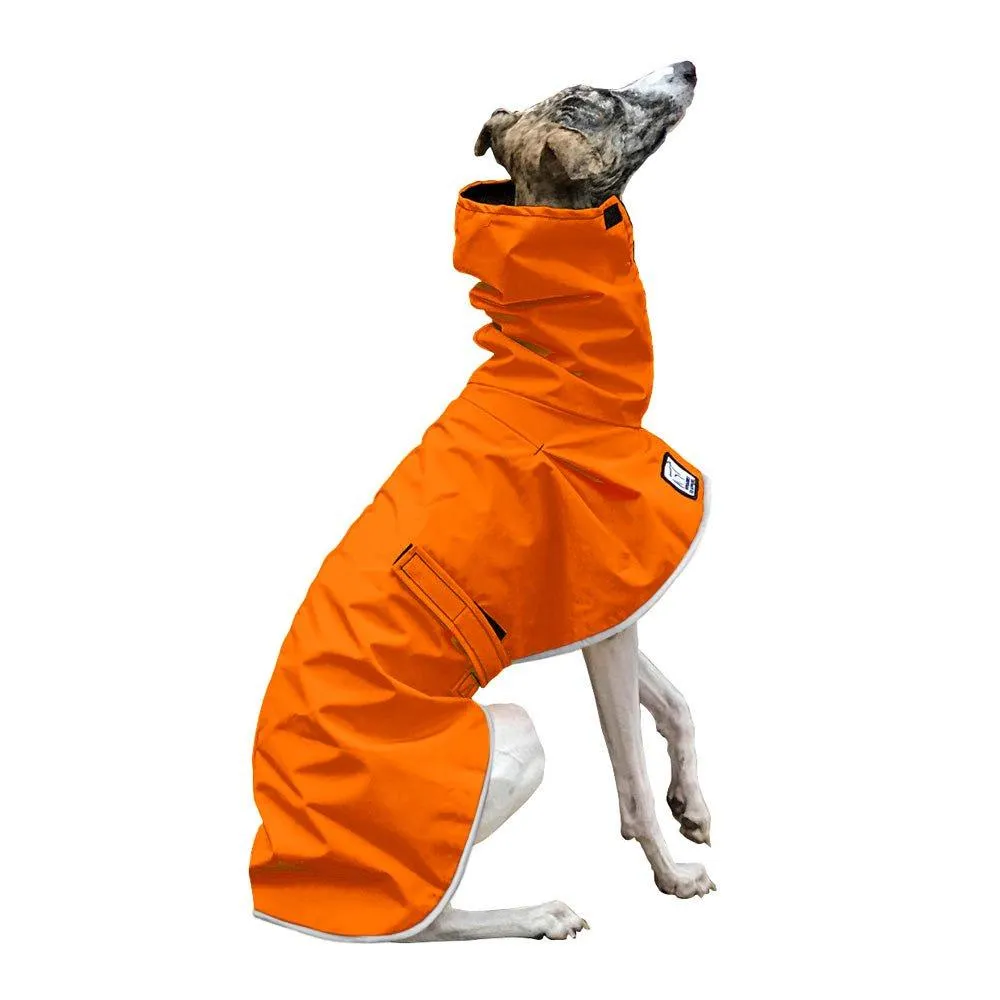 ReCoat ♻️ Whippet Raincoat